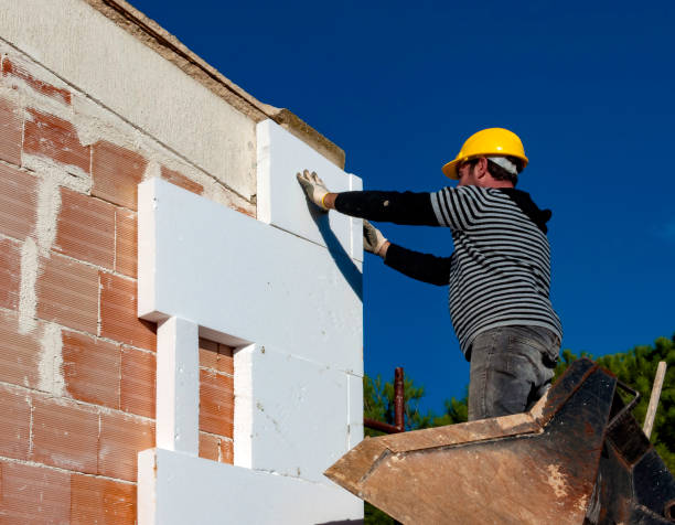 Best Home Insulation Services  in Conehatta, MS