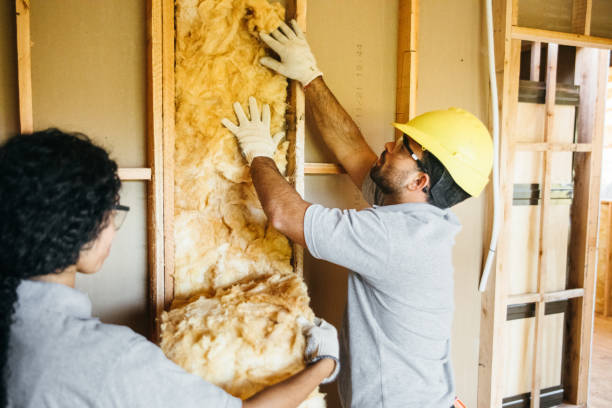 Best Commercial Insulation Contractor  in Conehatta, MS