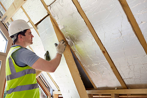 Best Insulation Inspection Services  in Conehatta, MS