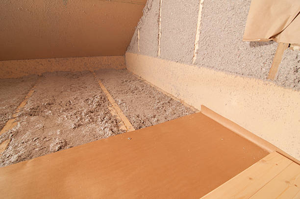 Best Garage Insulation Installation  in Conehatta, MS